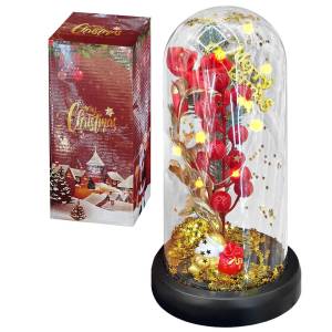 93-3951 Γυάλα με Φως, Κλαδί Γκι, Άγιο Βασίλη 22x11cm , Χριστουγεννιάτικα